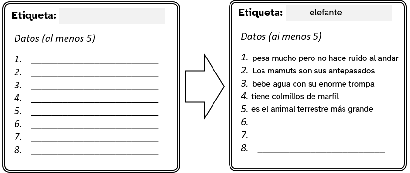 Imagen de ayuda para las etiquetas para el modelo en LearningML