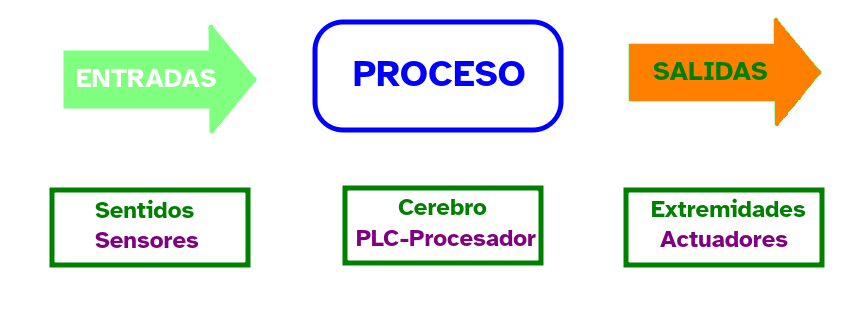 Imagen que describe un diagrama comparativo de los sentidos humanos y los sensores