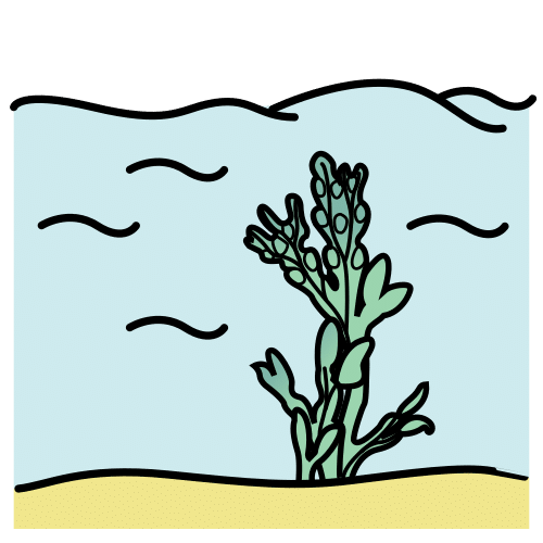 Imagen que describe el fondo del juego Fish Chomp