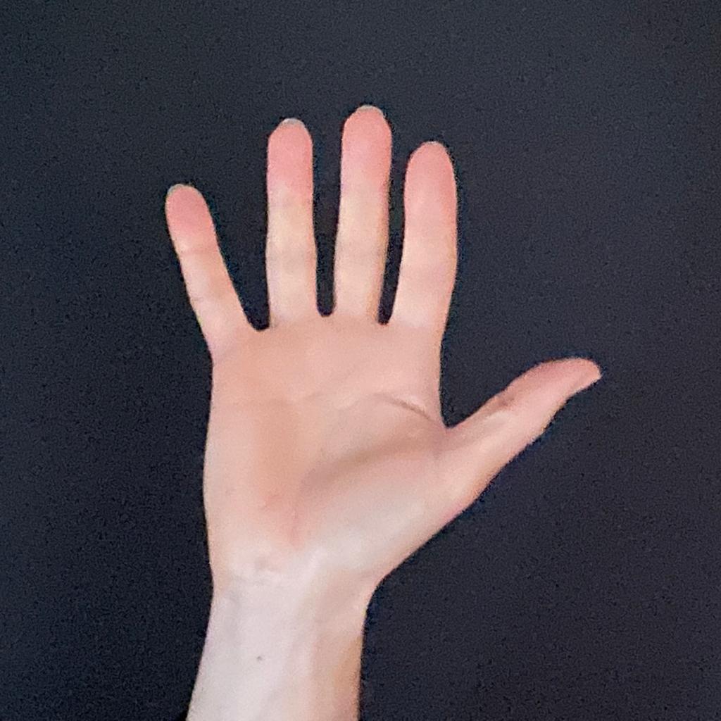 Imagen de la lengua de signos que significa hola
